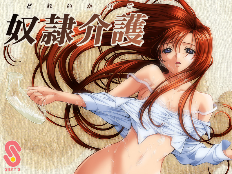 奴●介護【Windows10対応】 [FANZA GAMES（シルキーズ）][silkys_0027][パッケージ画像]