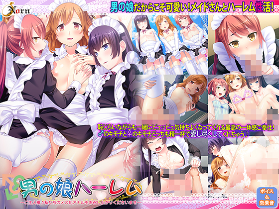 男の娘ハーレム 〜ご主人様♪私たちのメス化アナルをお召し上がりくださいませ〜 [Norn / Miel / Cybele][zooc_0157][パッケージ画像]