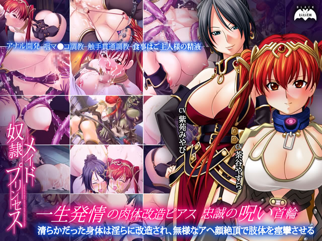 奴●メイドプリンセス [パッケージ][Lilith ［リリス］][inf_0030]